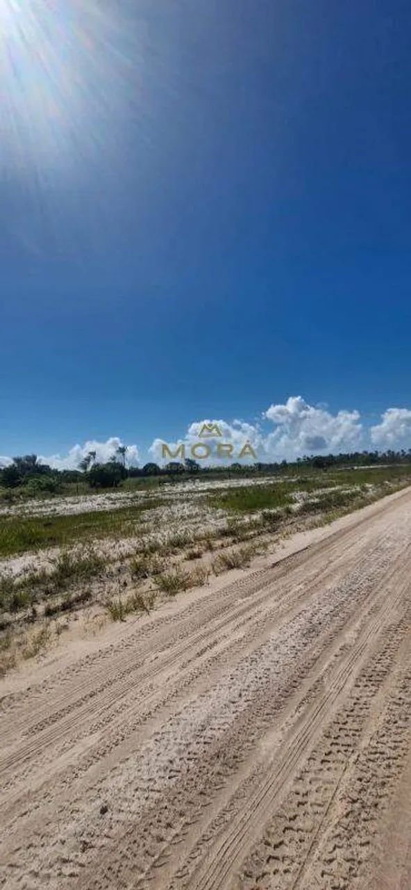 Lotes lado praia Taipu de Fora - Foto 4