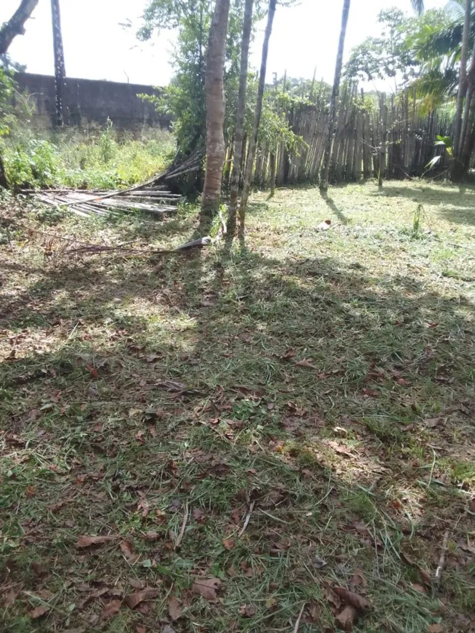 Terreno no curuçamba, ananideua-PA - Foto 2