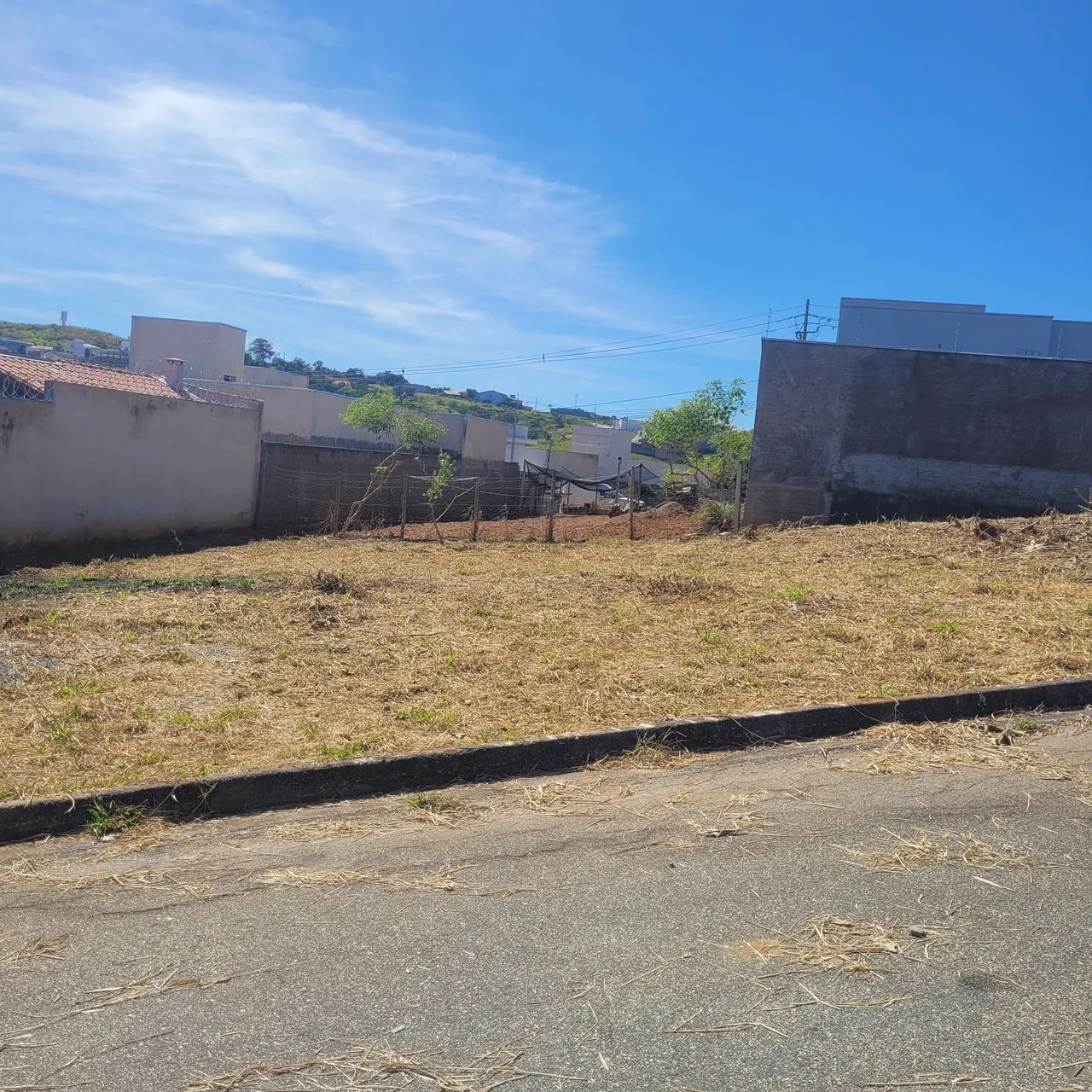 Lote