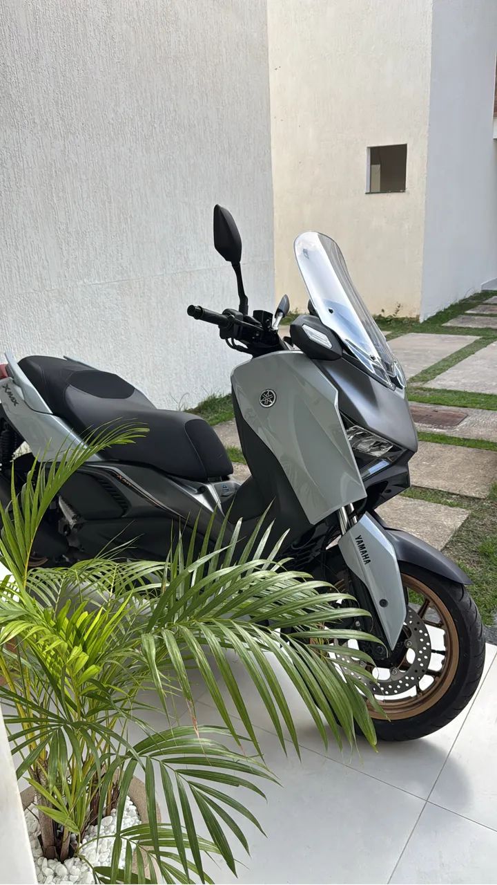 Xmax 300 
