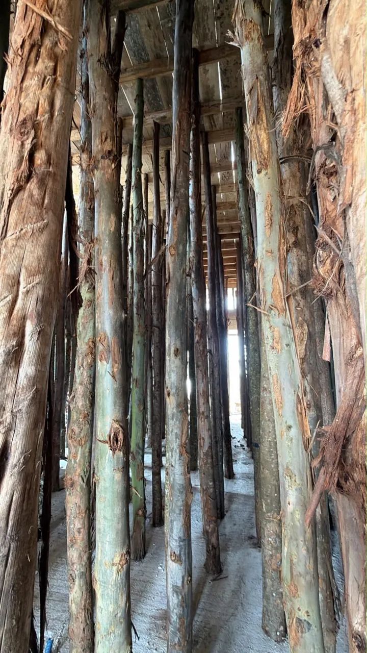 Tábua e escora - Foto 4