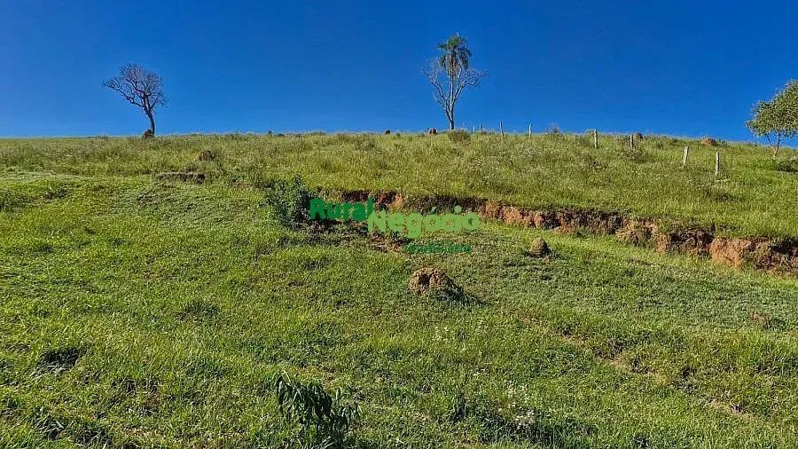 SÍTIO FORMADO À VENDA EM SÃO LUIZ DO PARAITINGA/SP - Foto 4