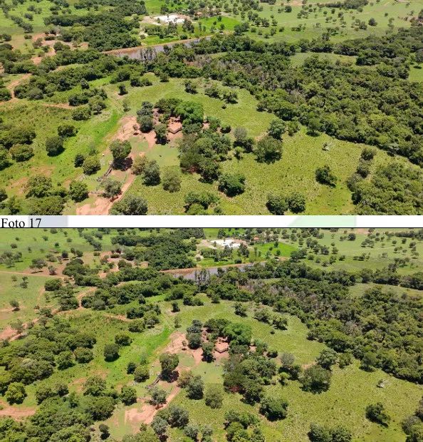 Imóvel rural no Zona Rural em Araguçu - Foto 5