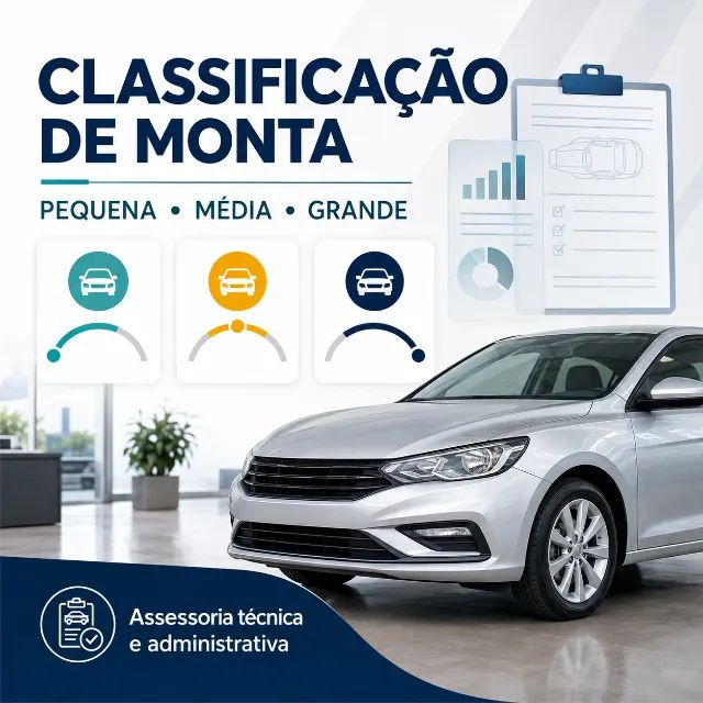 VEÍCULO CLASSIFICADO COM DANO DE PEQUENA, MÉDIA OU GRANDE MONTA?