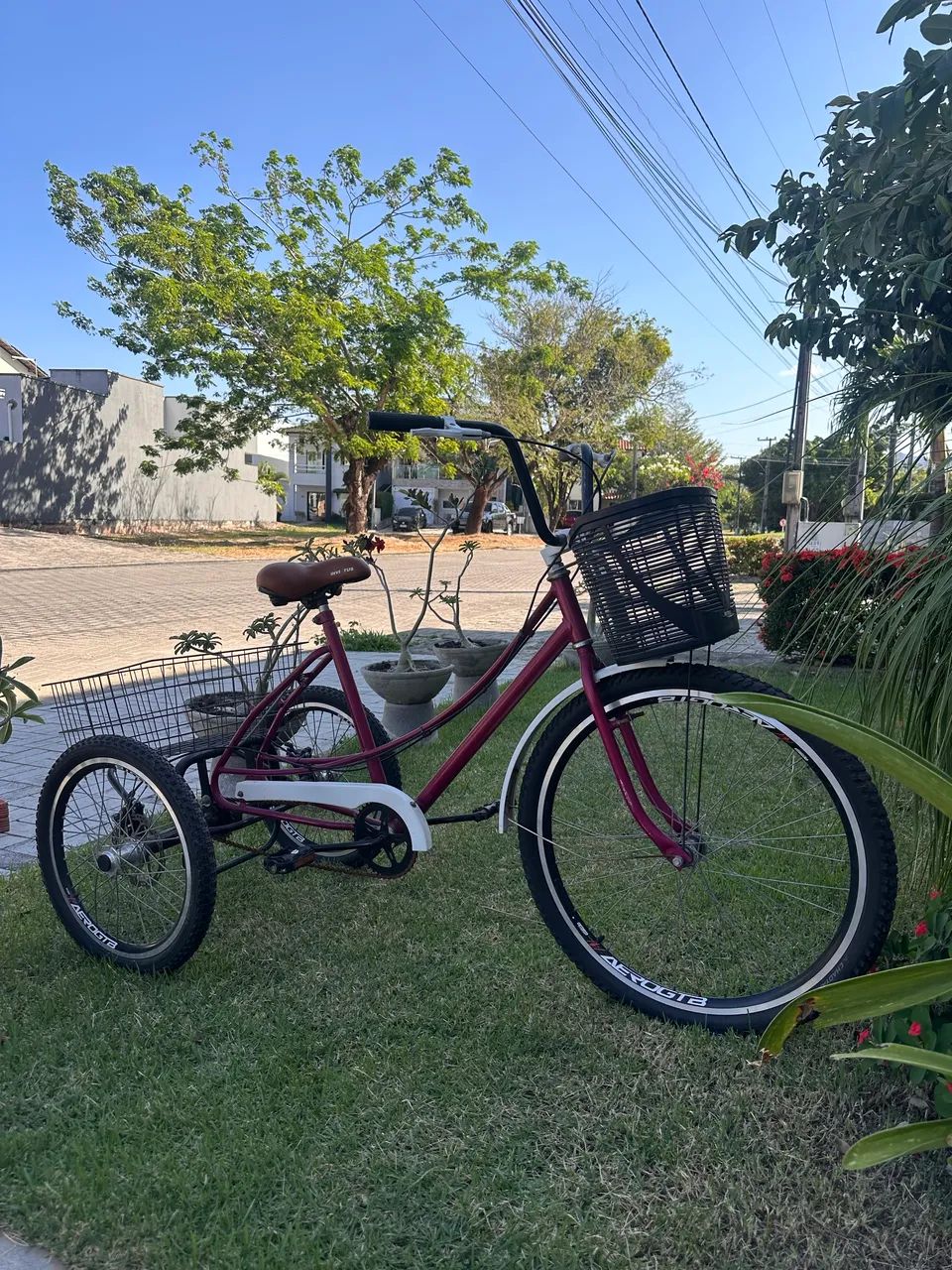 Bicicleta Triciclo 