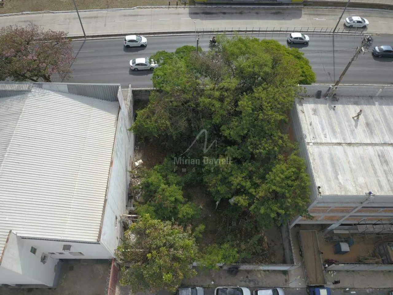 Lote comercial locação 608m² União - Foto 5