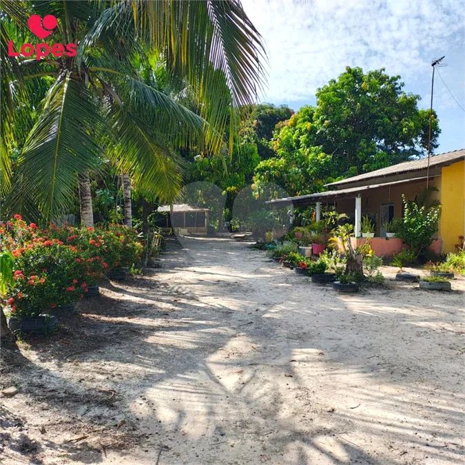 Sítio com 2 quartos à venda em Bairro novo - RR - Foto 5