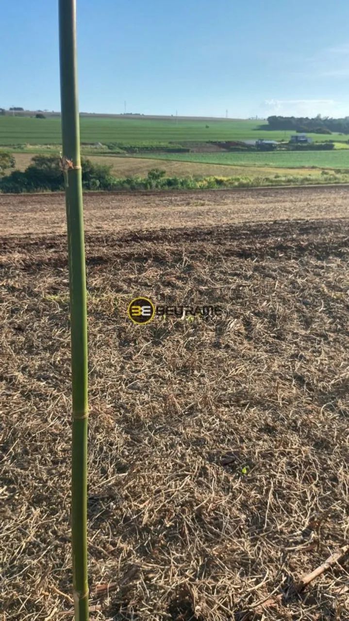 VENDA | Sítio, em Parque Industrial 200, Maringá - Foto 2