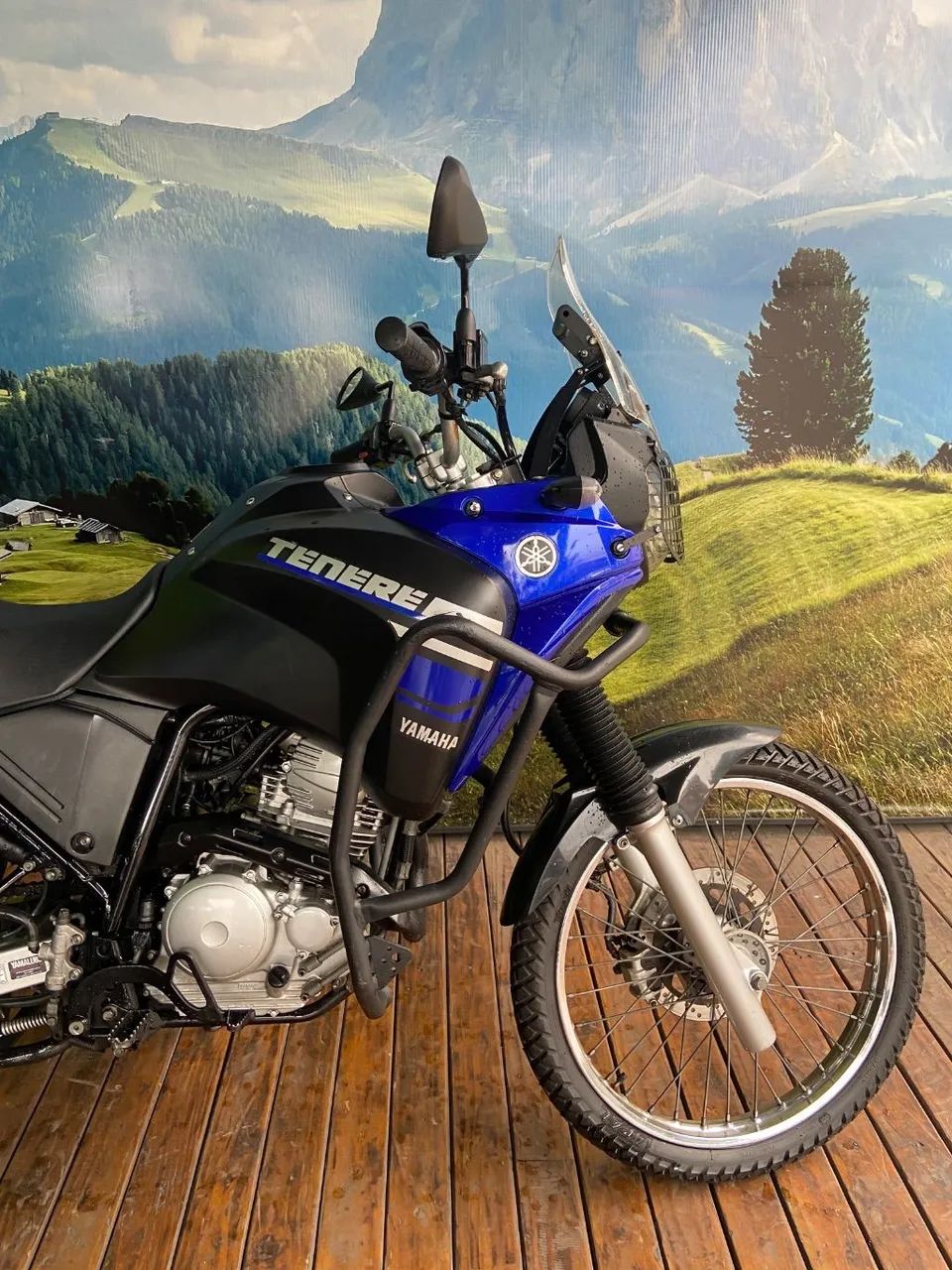 XTZ 250 TENERE/TENERE BLUEFLEX - Foto 4