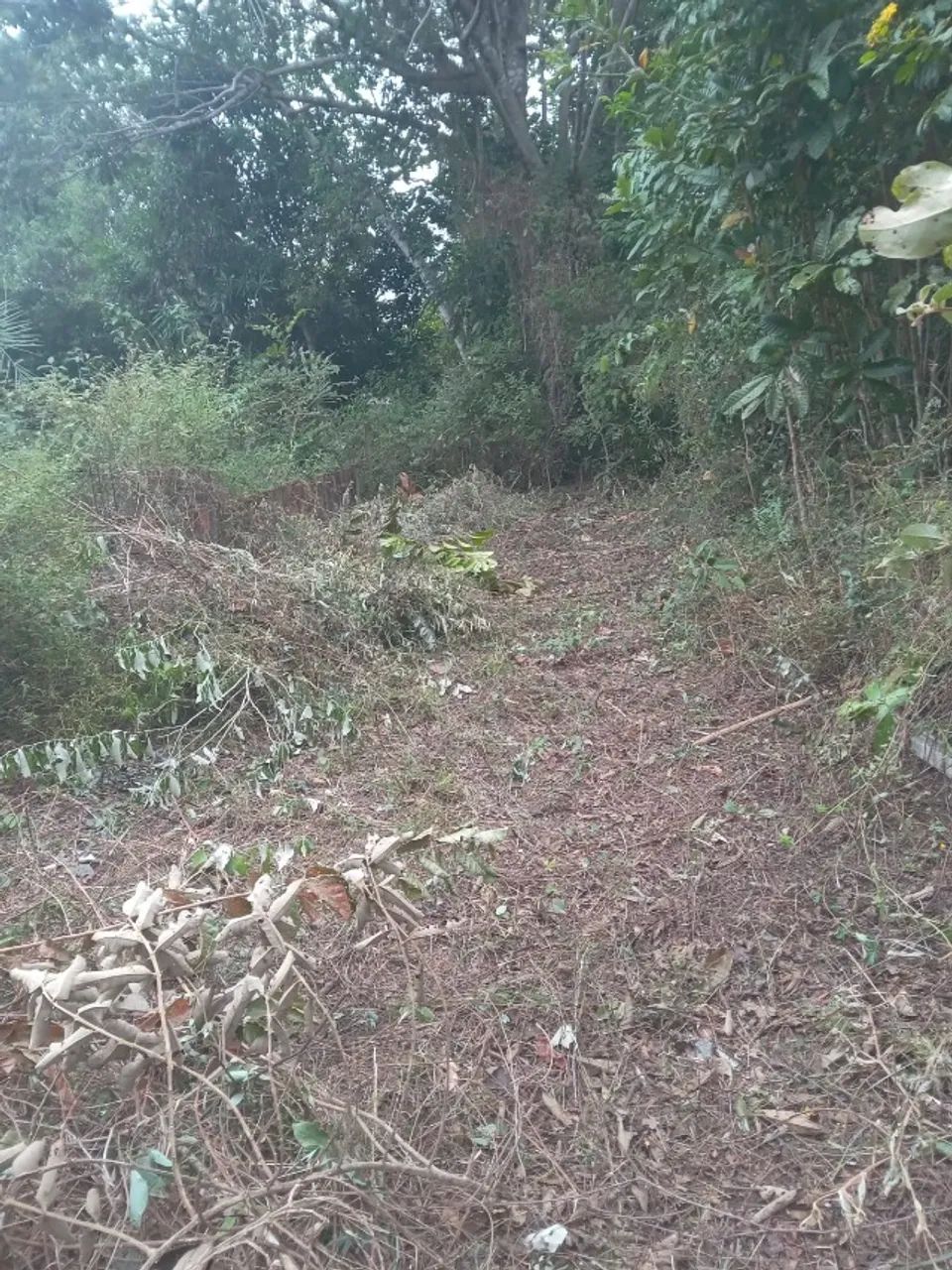 TERRENO PRÓXIMO PRAIA DO FORTE  - Foto 3
