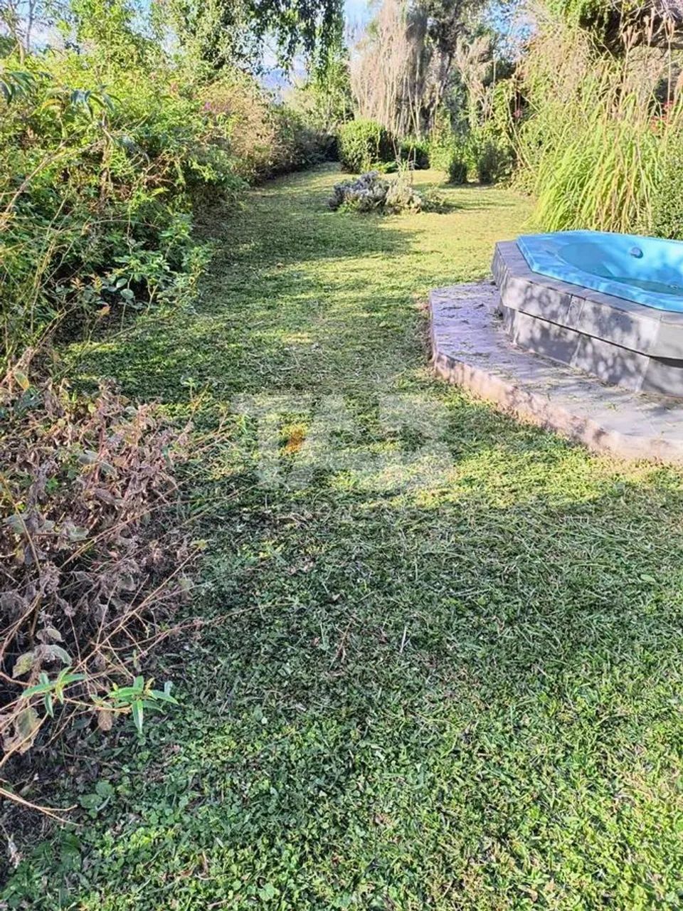 Chacará com 10.800m² para venda em campo Alegre - Foto 2