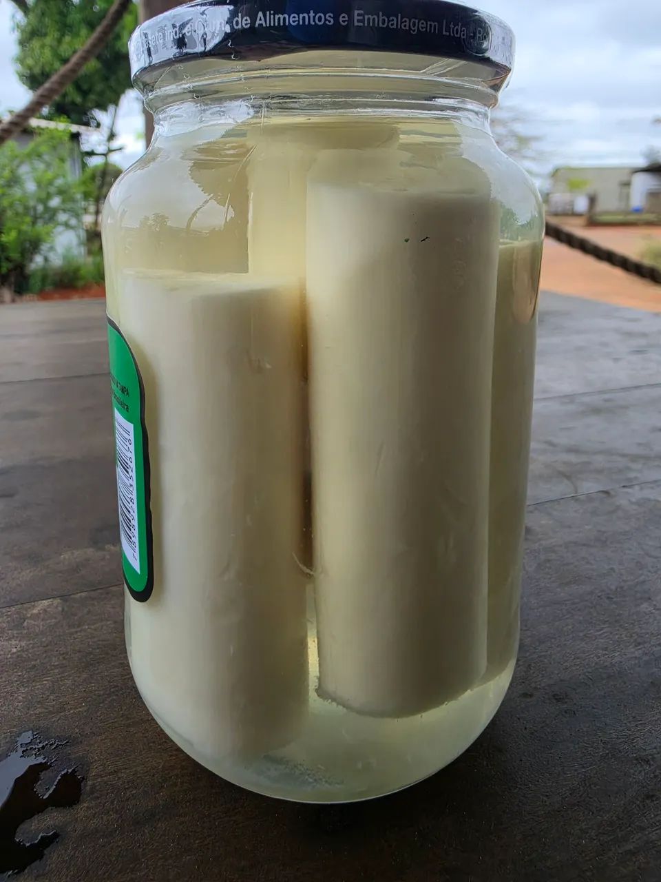 Palmito pupunha - Foto 3