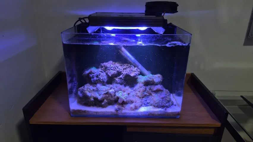 Aquario Marinho Nano Reef Completo Vidro Curvo Ocean Tech