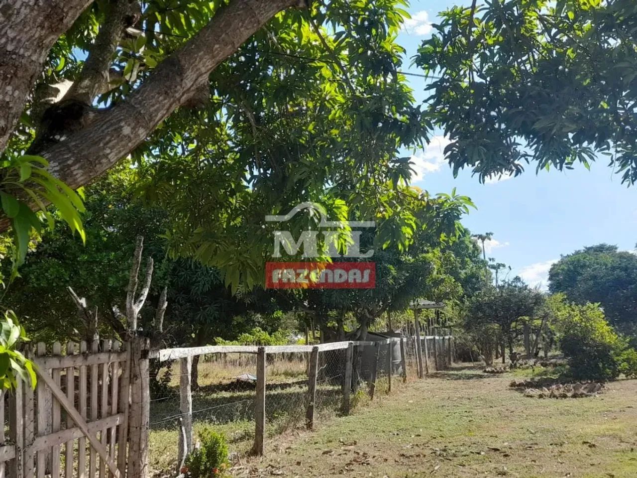 Fazenda em Taipas TO 106 alqueires (513,04 hectares) - Foto 5