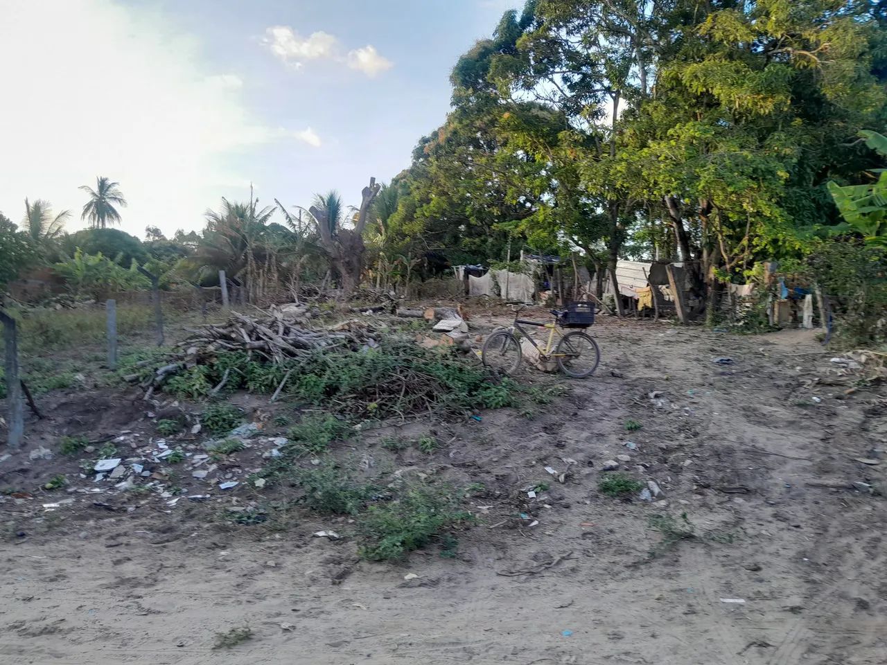 Terreno  - Foto 3