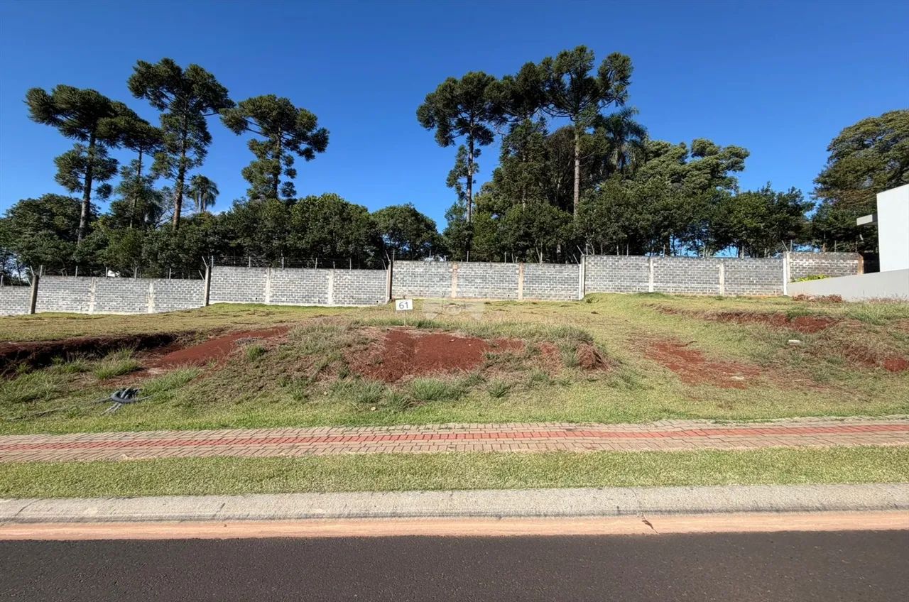 Vendas Terreno Pato Branco PR - Foto 4