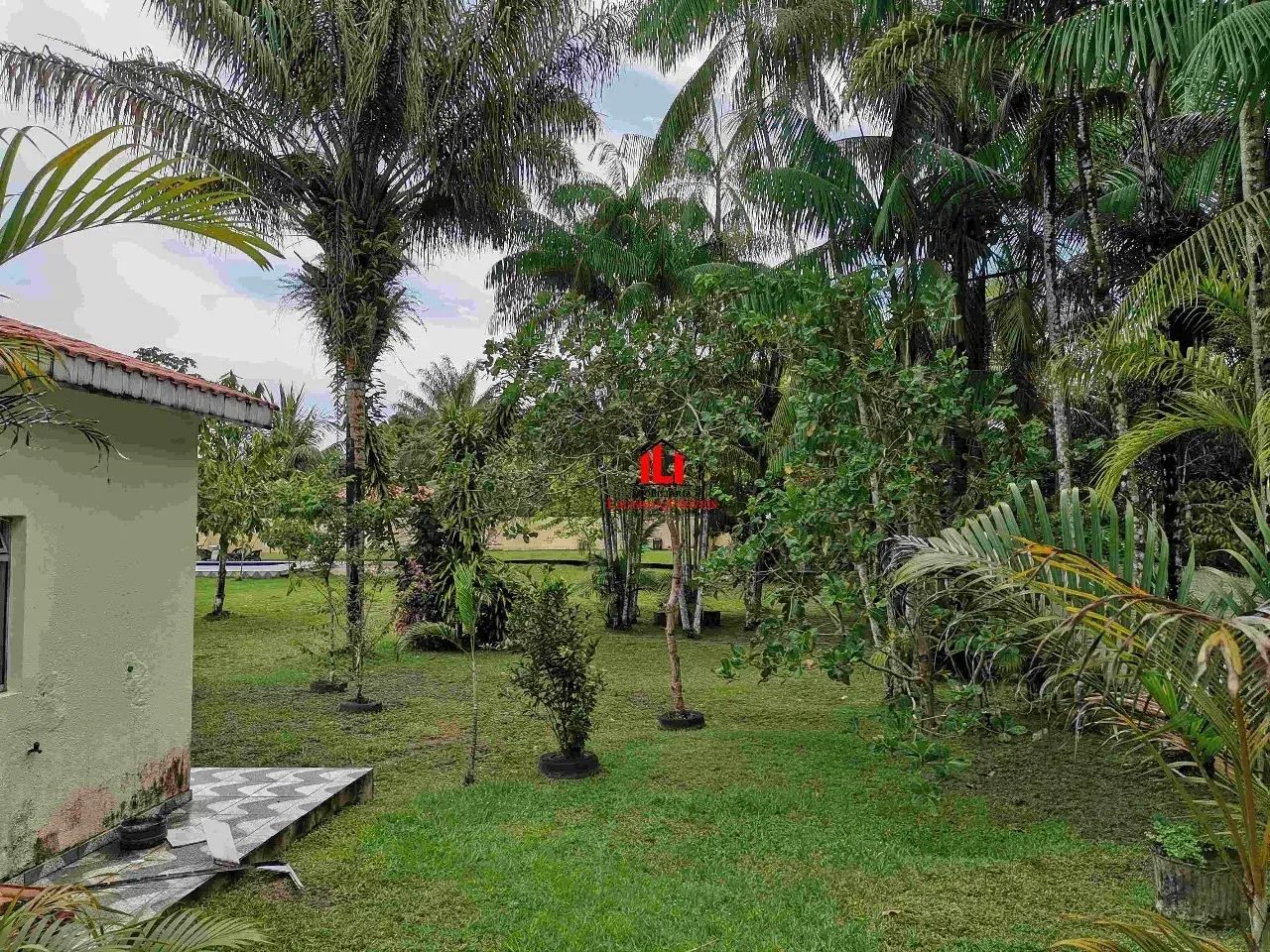 Chácara BR 174 Km 5 Área 4.000m² - Foto 5