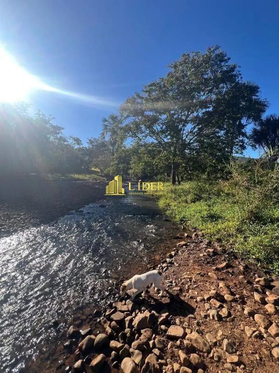 Fazenda à venda, AREA RURAL DE ARAGUARI - Araguari/MG