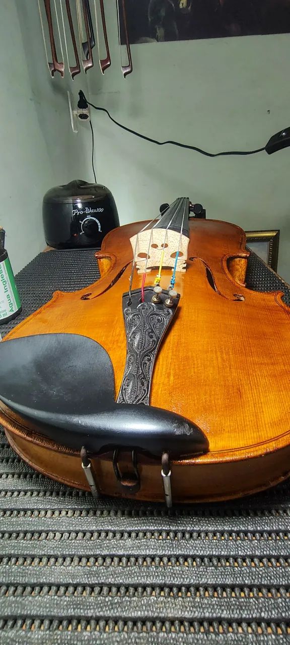 Viola  - Foto 3
