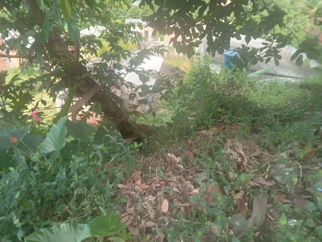 Vendo terreno no fazendinha. - Foto 5