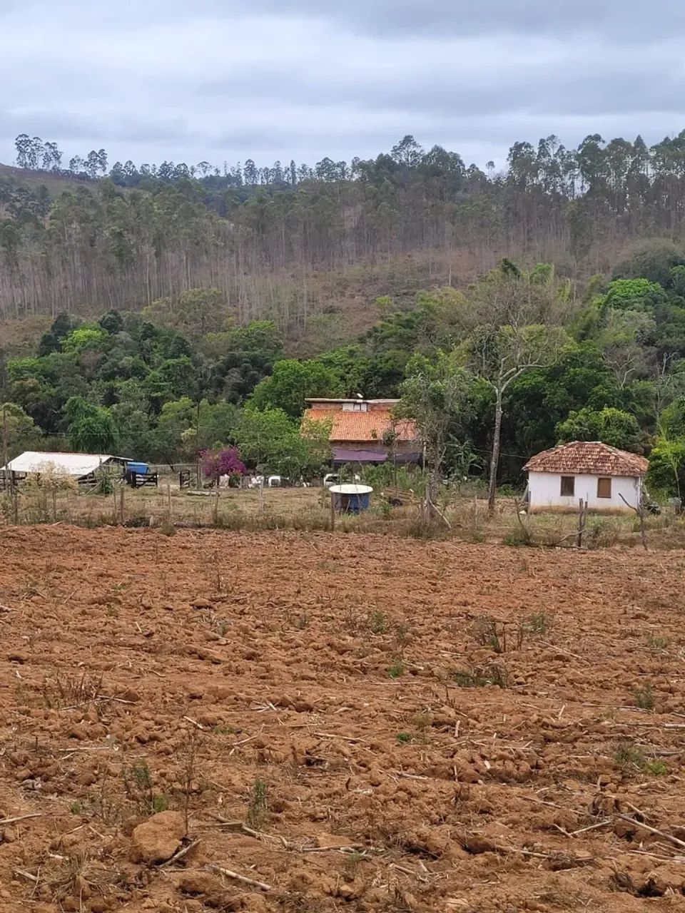 Sitio em Desterro de Entre Rios MG 2 hectares 20 mil metros 220 mil