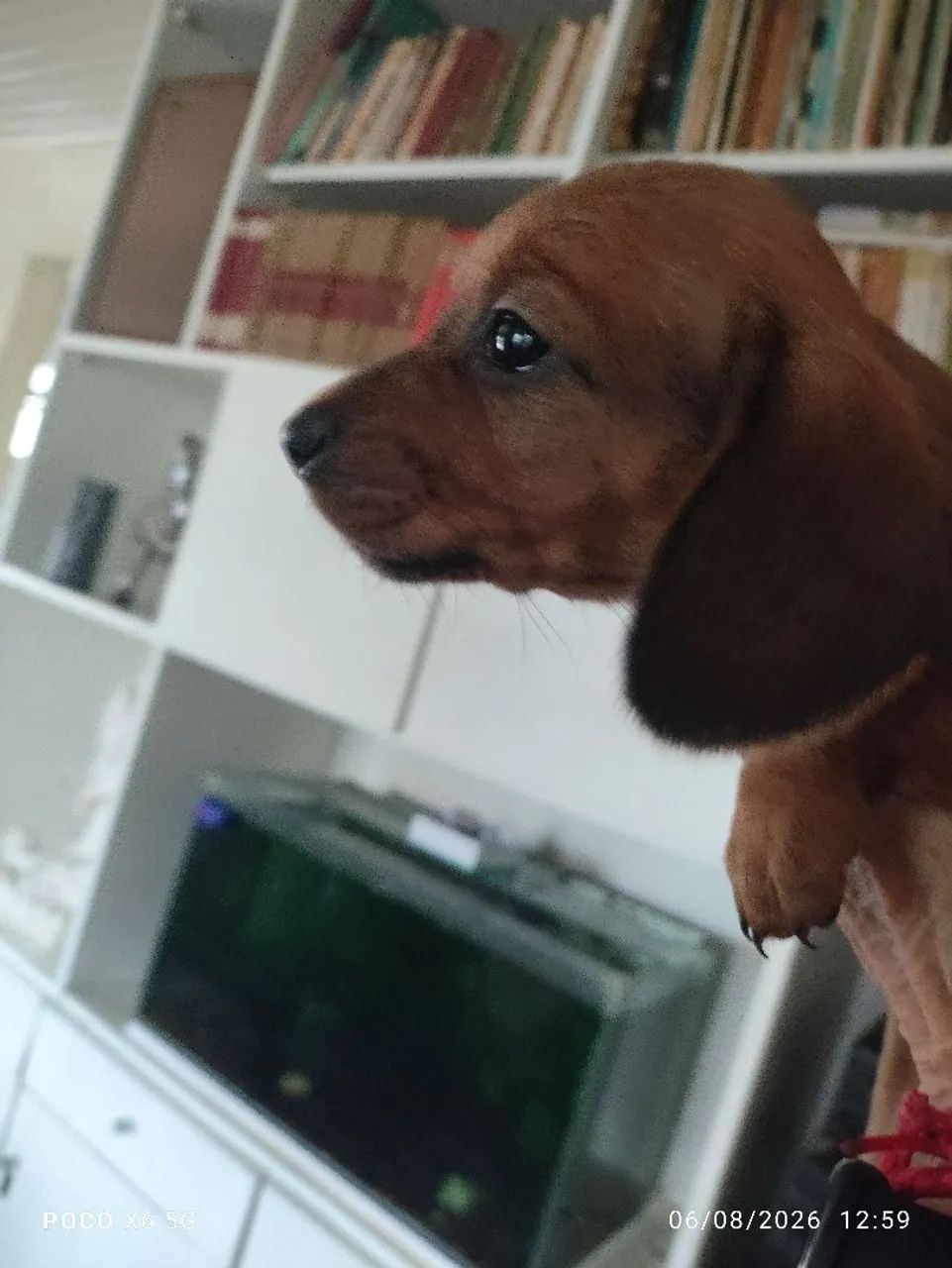 Vendo  - Foto 3