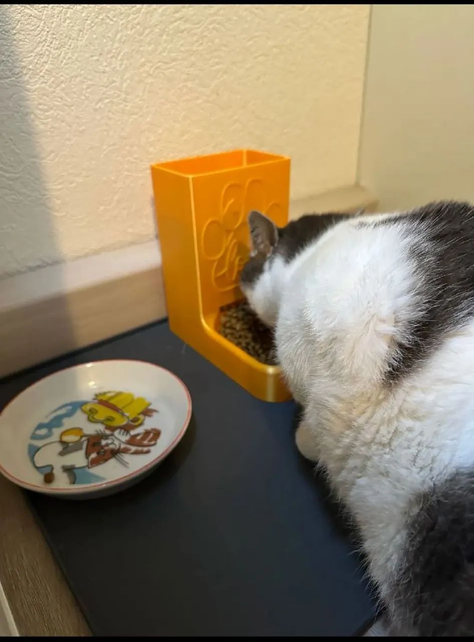 Comedouro automático para gatos - Foto 3