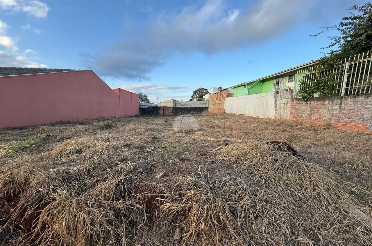 Vendas Terreno Pato Branco PR - Foto 5