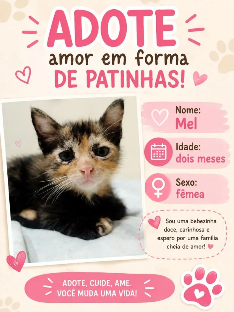 Doação responsável  - Foto 3