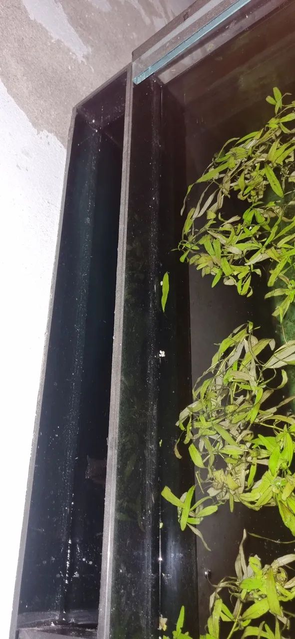 Vende se aquário 225 litros  - Foto 2