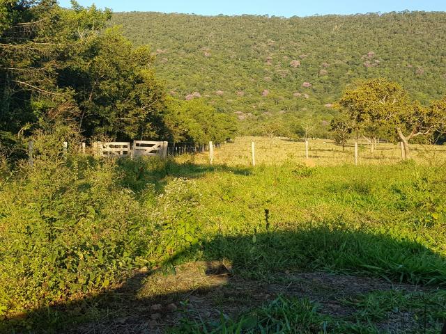 Chácara/Sítio 25 Hectares - Foto 9