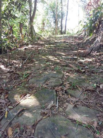 Lindo sítio em Morretes ideal para exploração com turismo - Foto 12