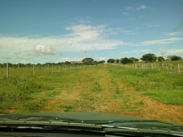 Fazenda 1.940 hectares na Estrada do Manso a 50 km de Cuiabá - Foto 3