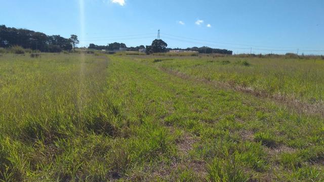 Área plana c/ leve aclive, medindo 23.300m², próx a cidade. Ótimo para industrias.(AR0001) - Foto 3