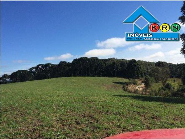 Fazenda - Fazenda a Venda no bairro Área Rural de Ponta Grossa - Ponta Grossa, P... - Foto 16