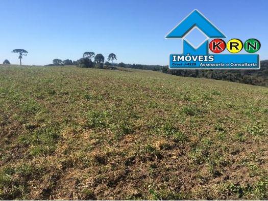 Fazenda - Fazenda a Venda no bairro Área Rural de Ponta Grossa - Ponta Grossa, P... - Foto 15