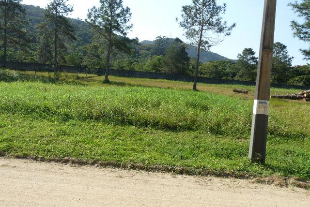 Terreno Maravilhoso na Praia do Estaleiro - Foto 6