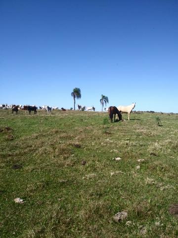 Otima fazendinha - Foto 7