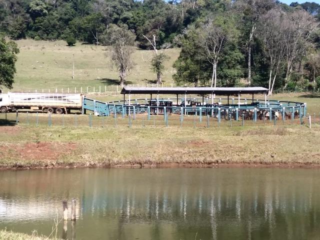 Otima fazendinha - Foto 12
