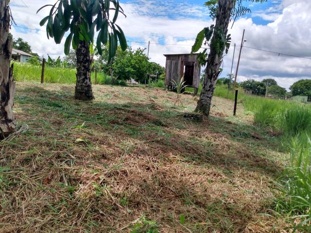 Venda - Foto 4