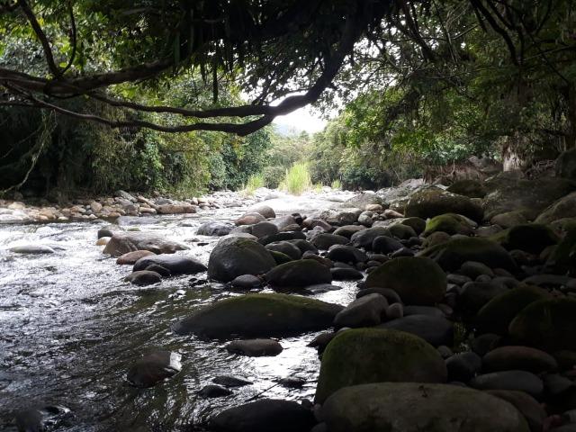 Caetano Imóveis - Terreno escriturado com 4.255m² (possui cachoeira privada dentro) - Foto 2
