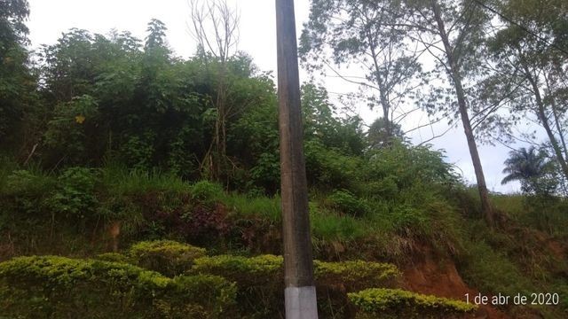 Edinaldo Santos - Grama - terreno 4.000m² exc. localização - Foto 4