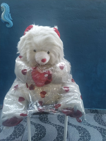 Urso muito grande - Foto 2