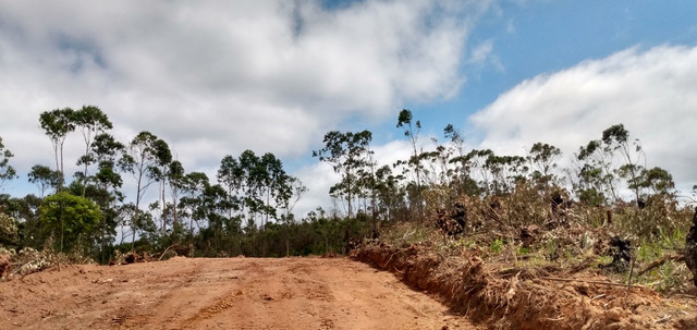 AM Terreno c/ ótima localização!