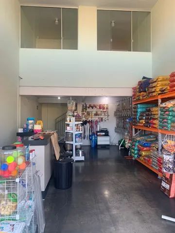 Pet Shop Perto de Mim Vila Santa Terezinha - Pet Shop Banho e Tosa