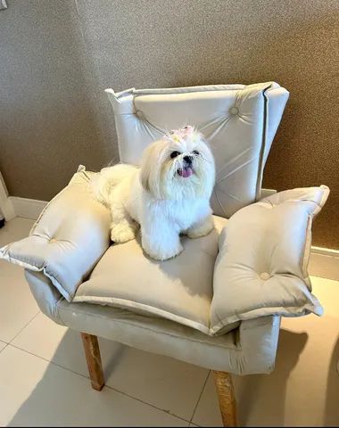 Opalas modernas confortável sofisticadas  - Foto 6