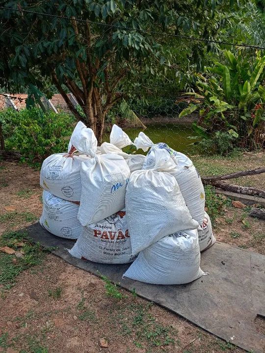 Sacos de estrume de galinha  - Foto 3