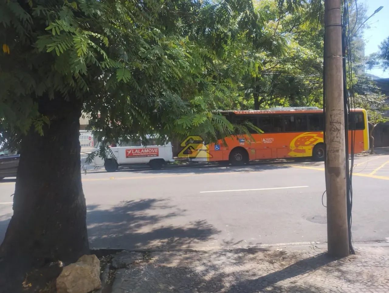 Laranjeiras | Loja - Foto 4