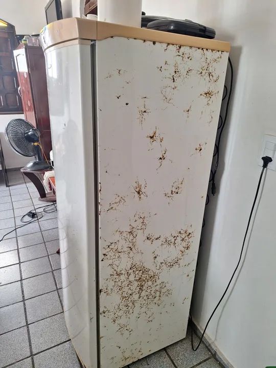 Geladeira Brastemp Inside Freezer