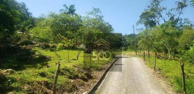 Sítio com 3 dormitórios à venda, 104000 m² por R$ 2.300.000,00 - Forquilhas - São José/SC - Foto 2